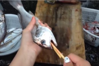 Как быстро выпотрошить рыбу