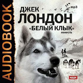Книги на ZvukiSlov
