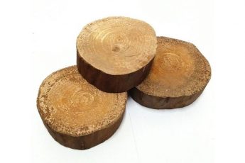 Сферы использования древесины чёрной пальмы