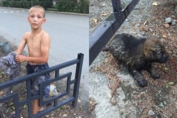 12-летний мальчик спас щенка, едва не утонувшего в сточной канаве