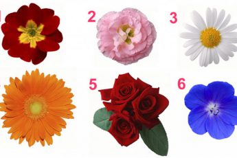 Какой цветок выбираете - такой женственностью и обладаете!