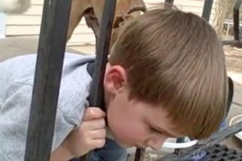 Ребёнок застрял в заборе и только посмотрите какой он нашёл выход!