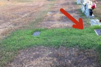 Мама и папа решили выяснить, почему на могиле их 36-летнего сына зеленеет трава