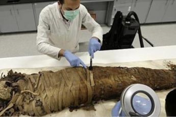 100 египетских мумий проанализировали и ученые сделали открытие